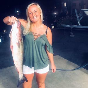 Meet your Posher, Sierra